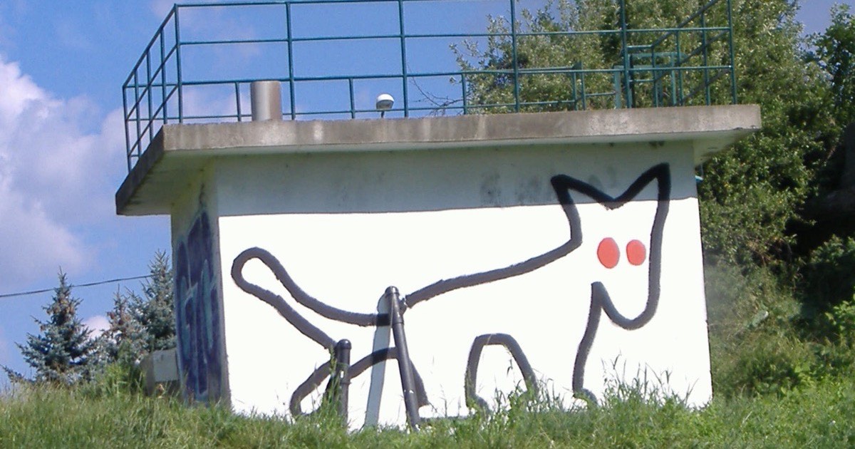 Colourful graffiti covering a public wall